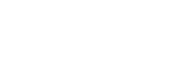 Dynamo Hauling Services LLC