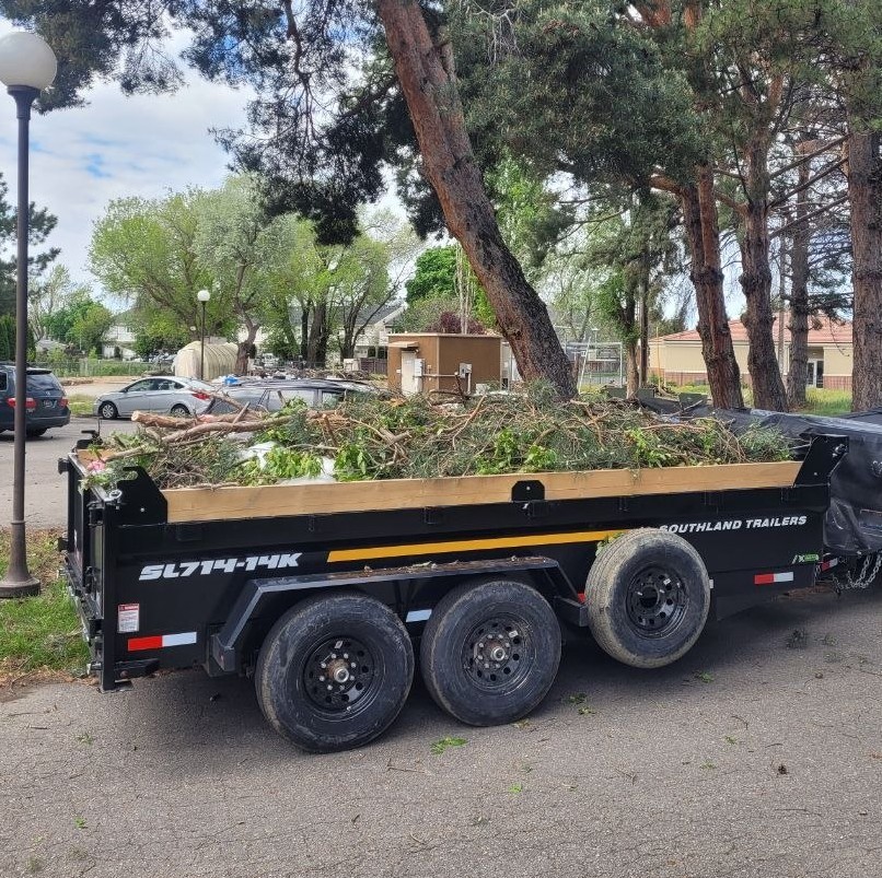 Trailer loaded with yard waste and tree branches